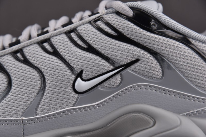 Nike Air Max Plus TN 