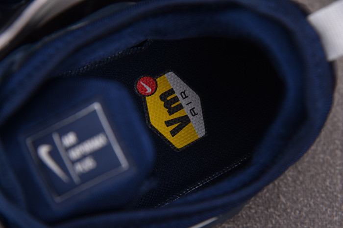 Nike Air VaporMax Plus 