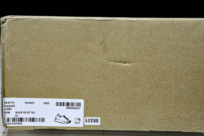 Ale*d*r M*Q*en E2725