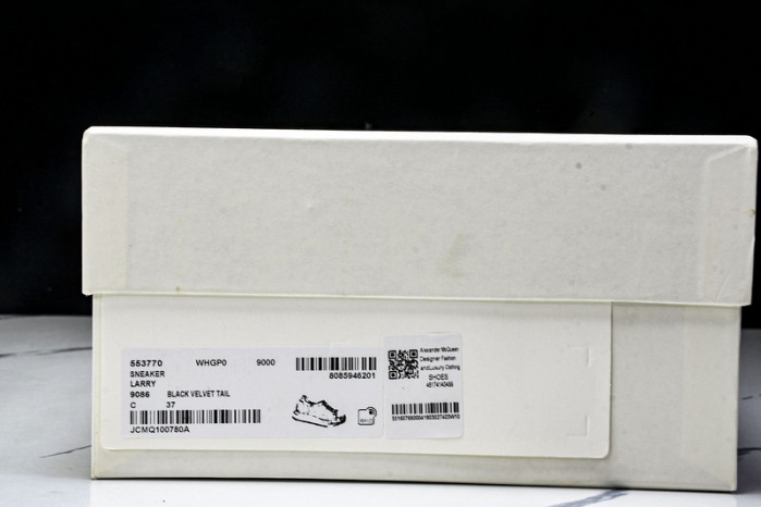 Ale*d*r M*Q*en E2725