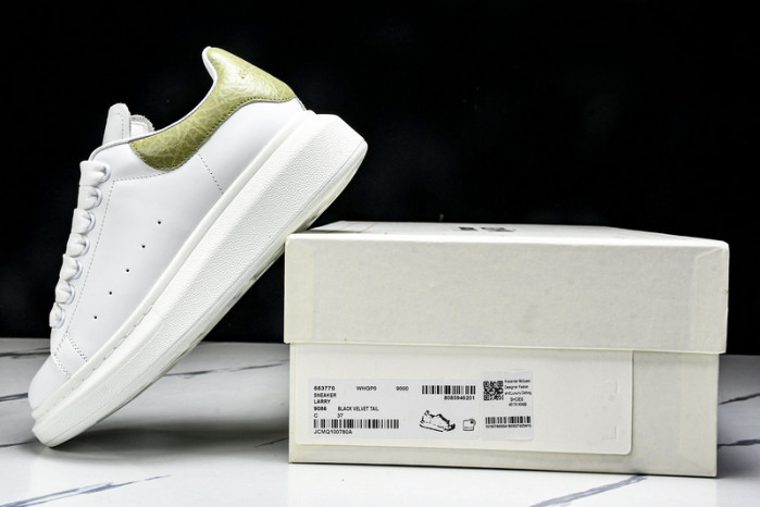 Ale*d*r M*Q*en E2725