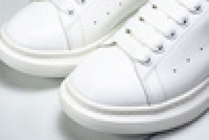 Ale*d*r M*Q*en E2728