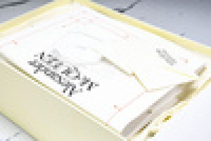 Ale*d*r M*Q*en E2728