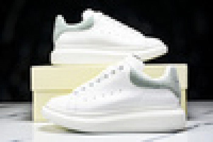 Ale*d*r M*Q*en E2728