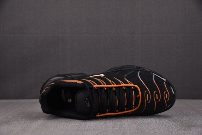 Nike Air Max Plus Dark Obsidian Monarch FN6949-400