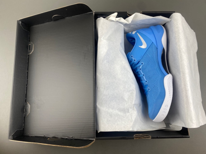 Nike Kobe VIII 8 Protro TB Promo Game Royal HM6469-400